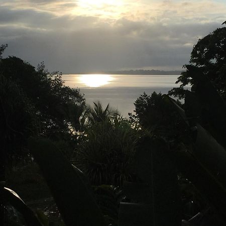 Dolphin Bay Hideaway Bed & Breakfast Bocas Town Luaran gambar