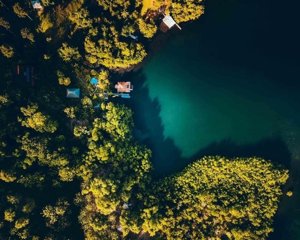 Dolphin Bay Hideaway Bed & Breakfast Bocas Town Luaran gambar