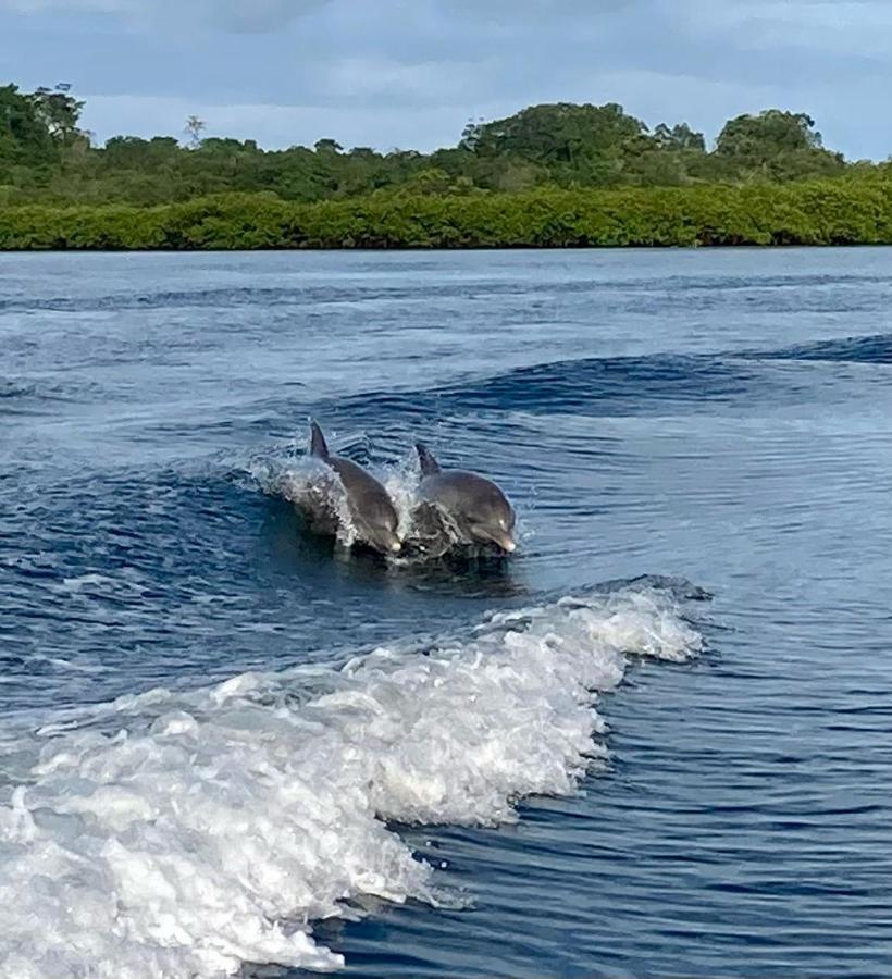 Dolphin Bay Hideaway Bed & Breakfast Bocas Town Luaran gambar