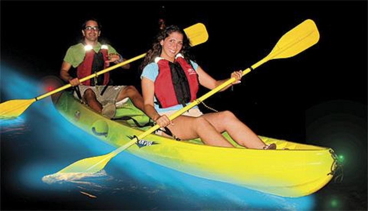 Dolphin Bay Hideaway Bed & Breakfast Bocas Town Luaran gambar