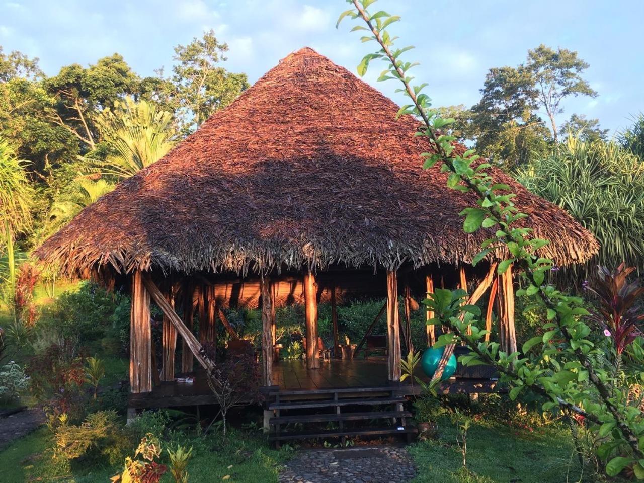 Dolphin Bay Hideaway Bed & Breakfast Bocas Town Luaran gambar