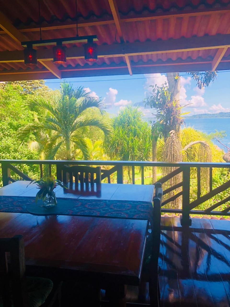 Dolphin Bay Hideaway Bed & Breakfast Bocas Town Luaran gambar