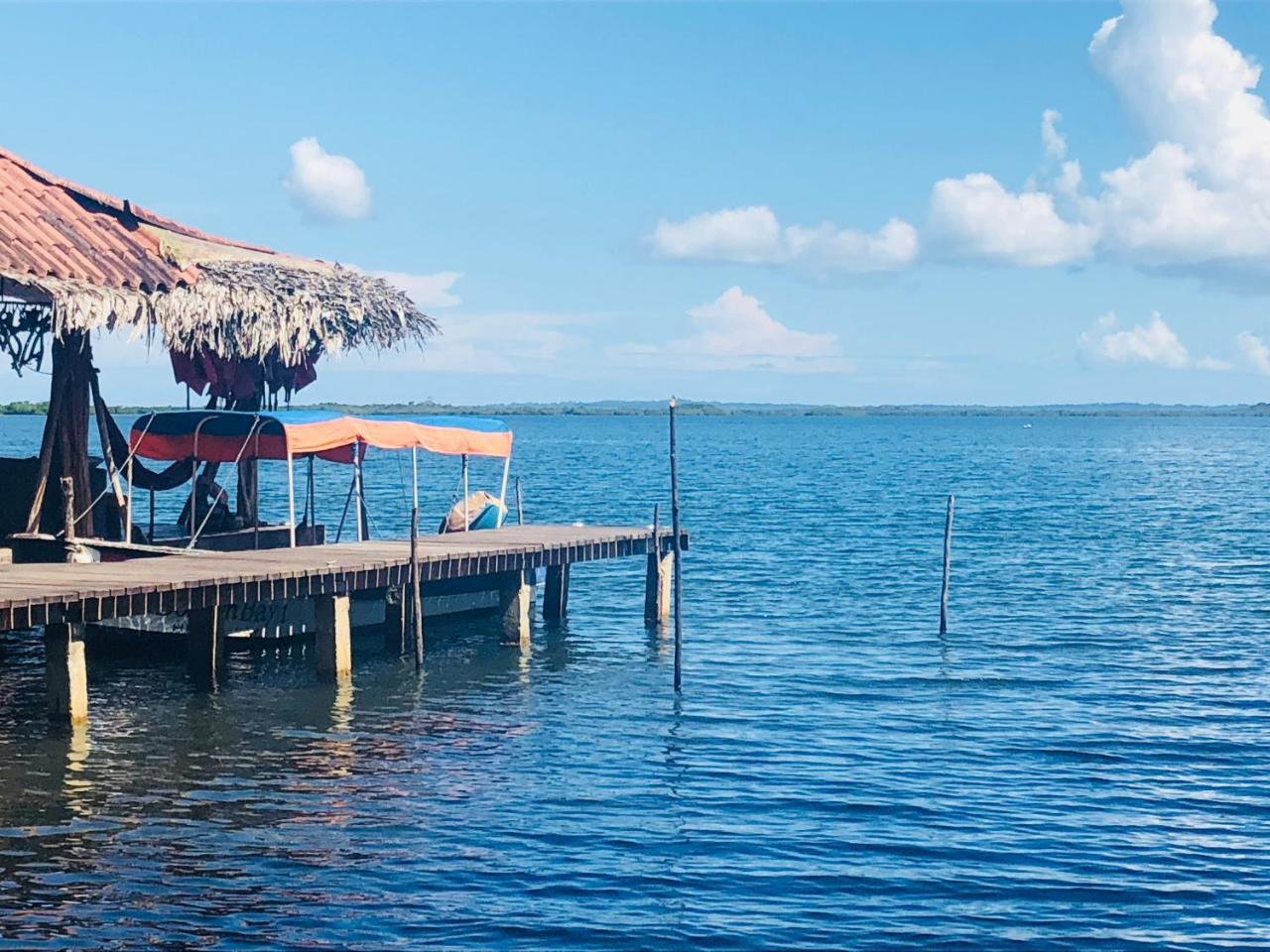 Dolphin Bay Hideaway Bed & Breakfast Bocas Town Luaran gambar