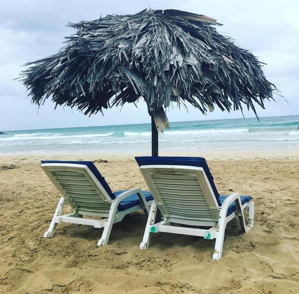Dolphin Bay Hideaway Bed & Breakfast Bocas Town Luaran gambar
