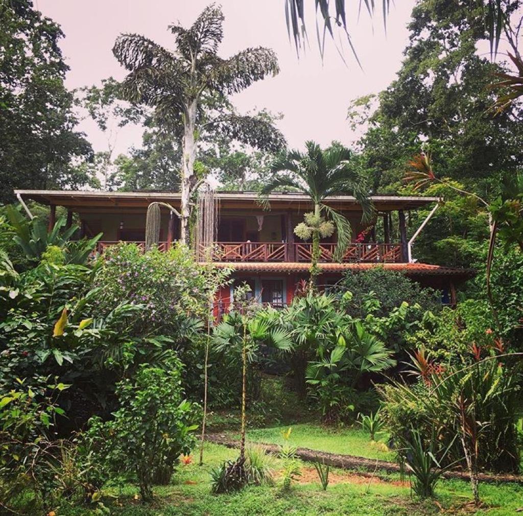 Dolphin Bay Hideaway Bed & Breakfast Bocas Town Luaran gambar