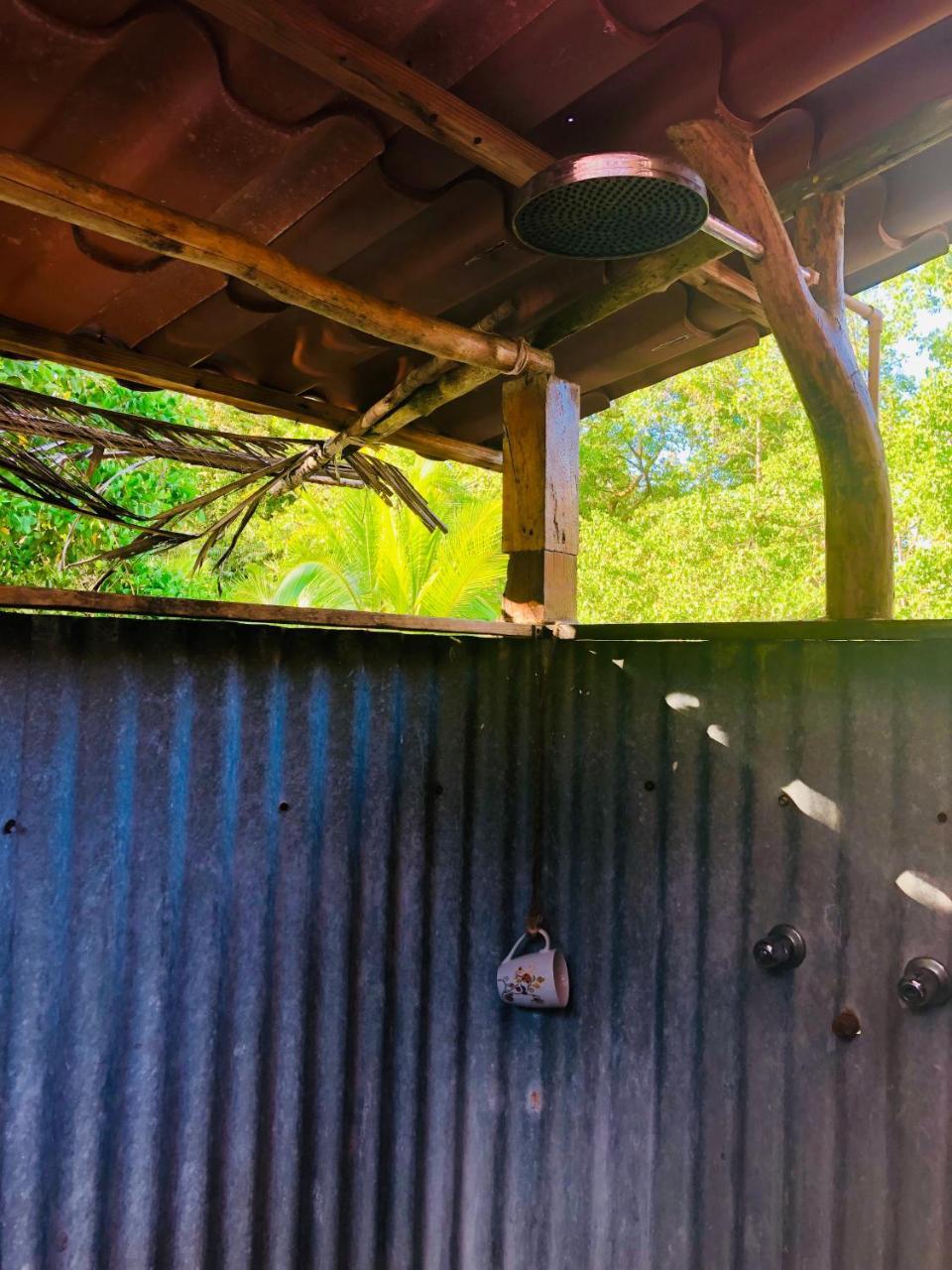 Dolphin Bay Hideaway Bed & Breakfast Bocas Town Luaran gambar