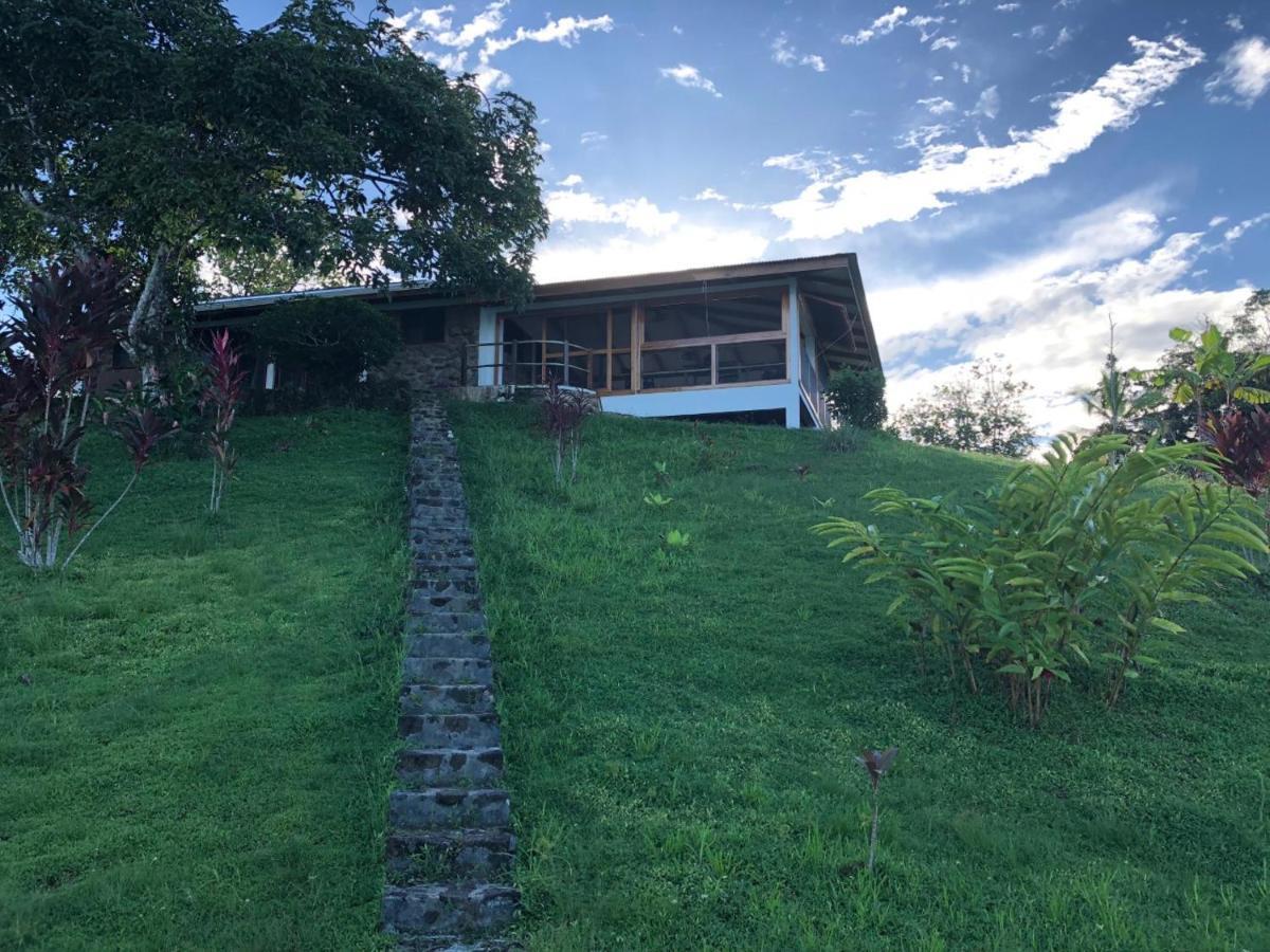 Dolphin Bay Hideaway Bed & Breakfast Bocas Town Luaran gambar